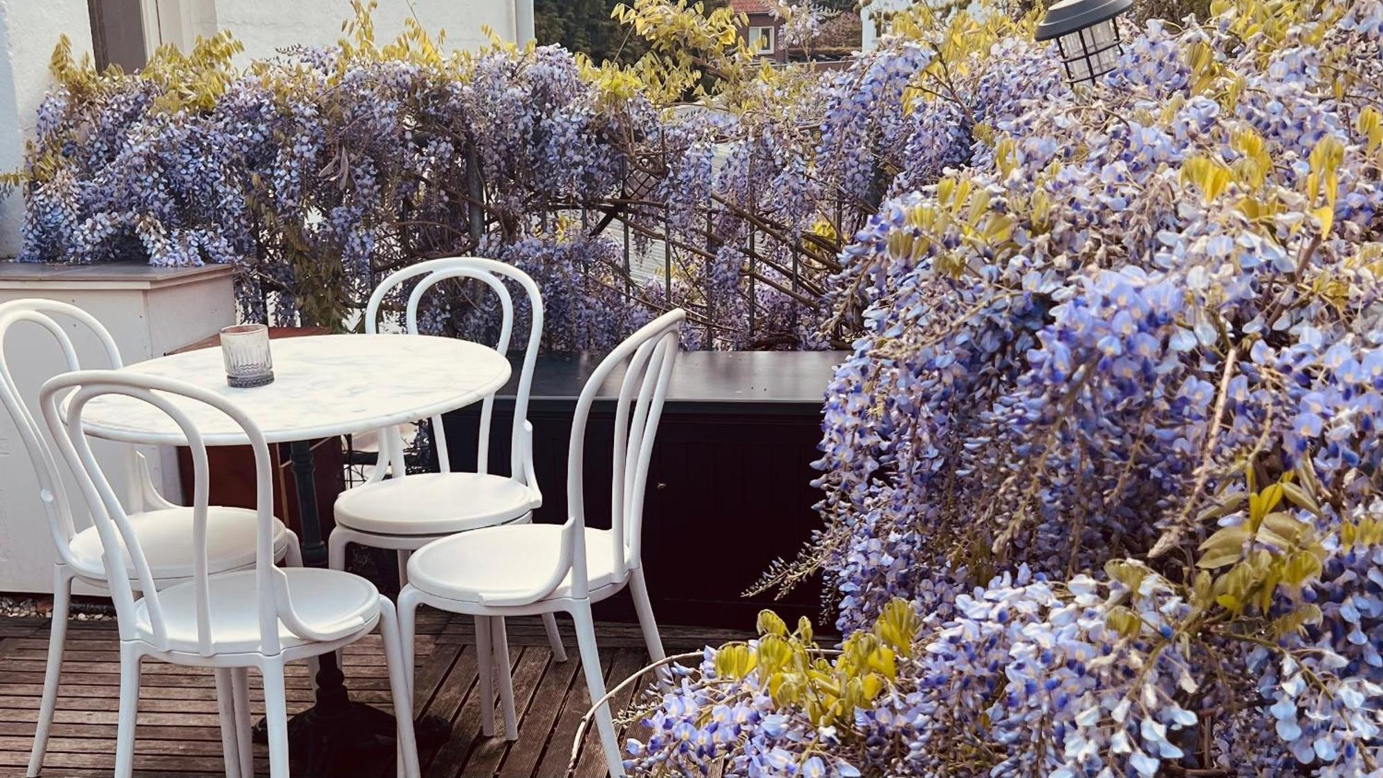Heerlijk Appartement Centrum Breda En Restaurant! ภายนอก รูปภาพ